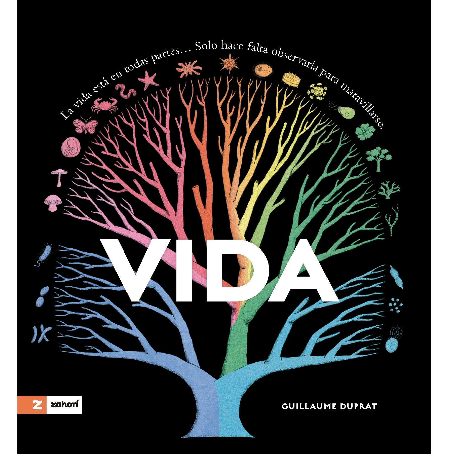 Vida Vida